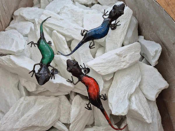 Salamander, set van 3 stuks