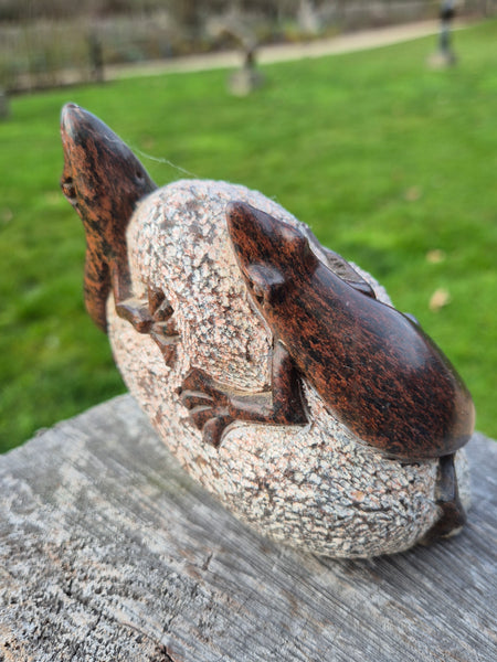 Salamanders op steen