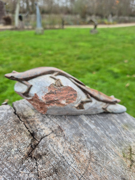 Salamanders op steen