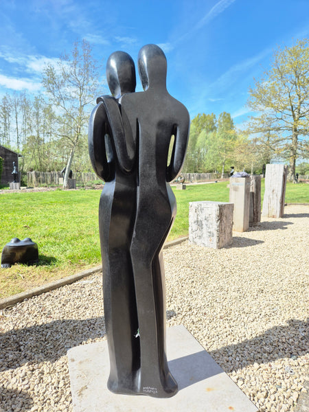 Tuinbeeld : new light