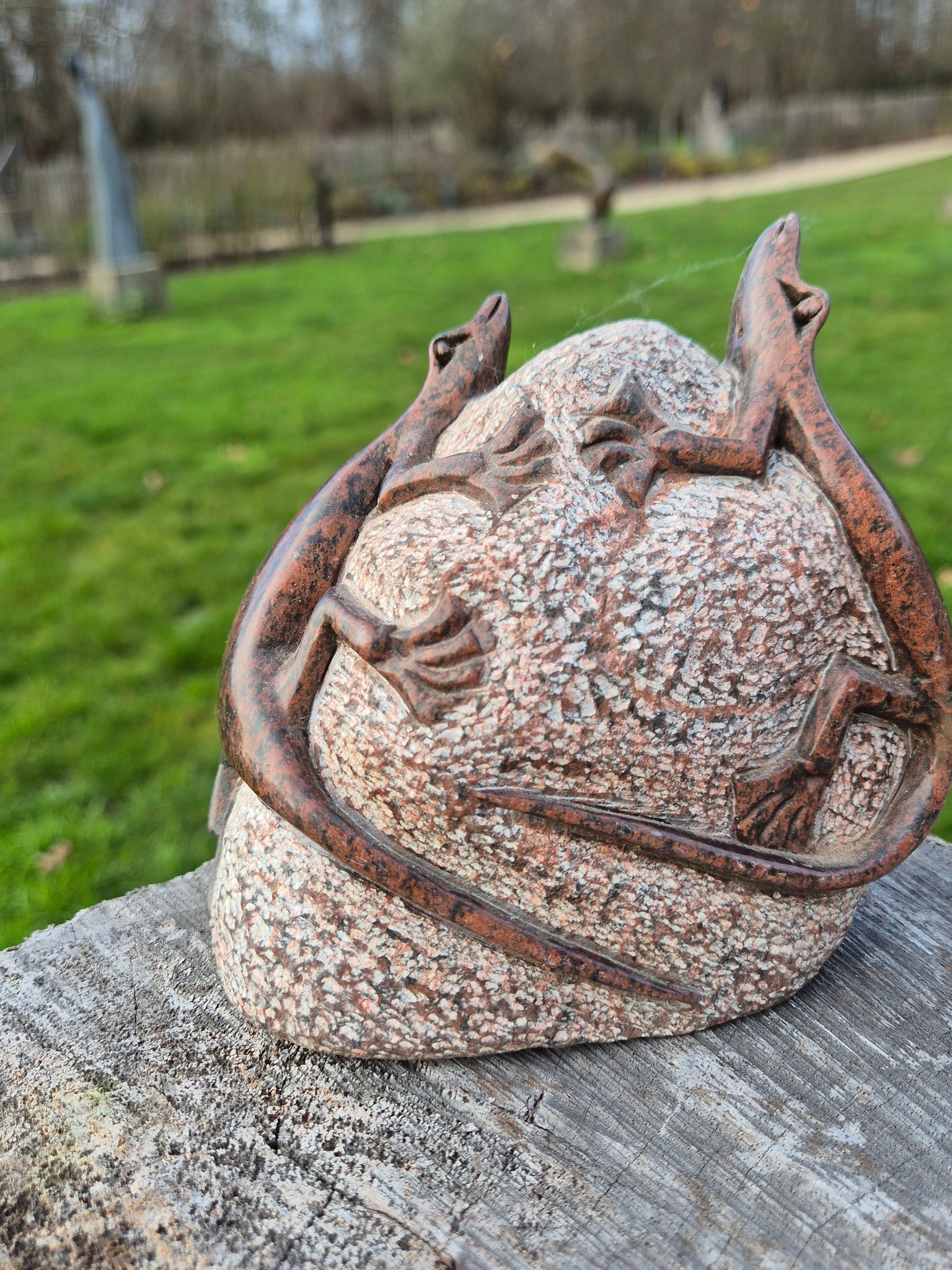 Salamanders op steen