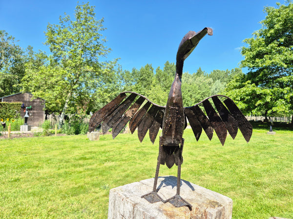 Aalscholver