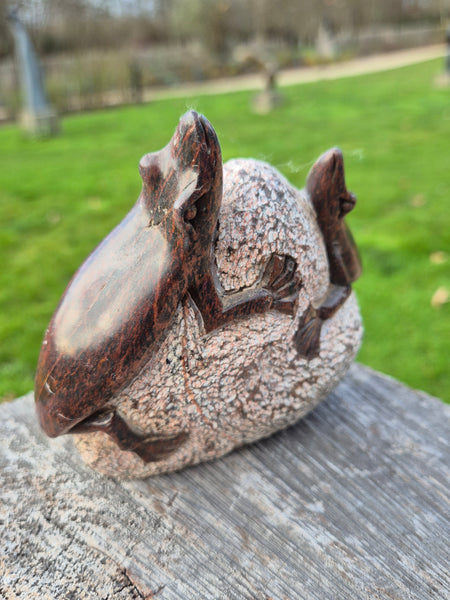 Salamanders op steen