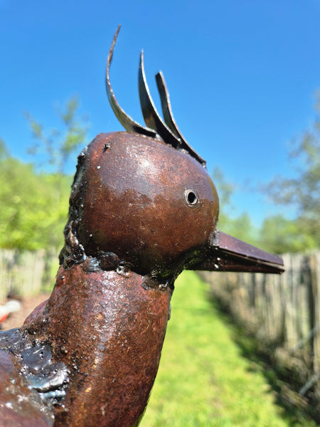 metal bird, lapwing, kievit, sculpture garden in belgium, large collection of metal and stone sculptures