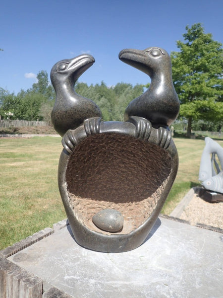 beeld tuin vogels op nest