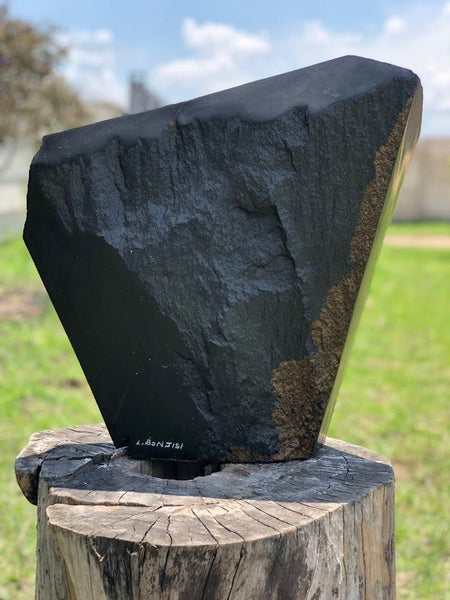 lovemore bonjisi signature