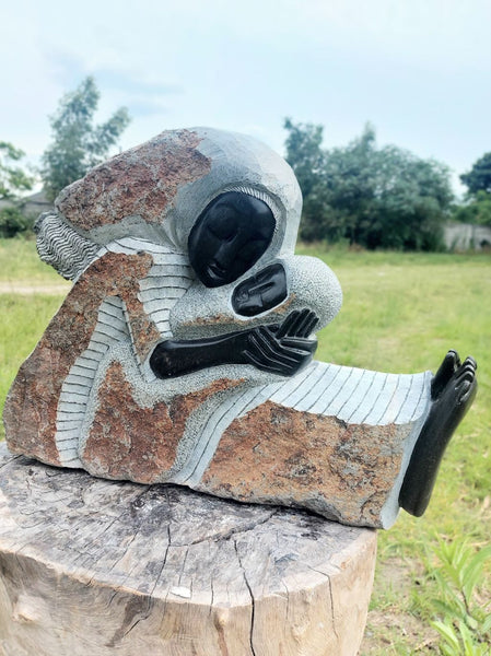 shonakunst zimbabwe wereldbeeld hamme