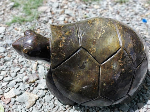 reuzenschildpad in steen