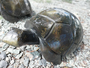 beeld reuzenschildpad in steen