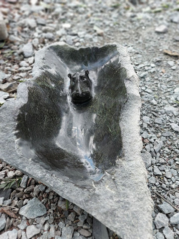 tuinschaal in steen
