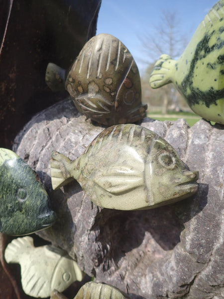 tuinbeeld steen vissen