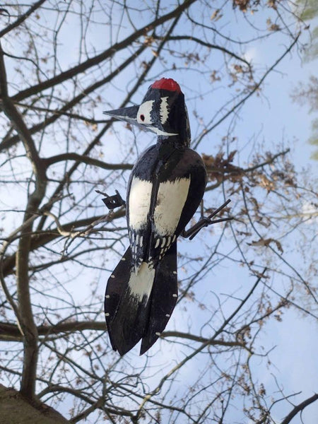 grote bonte specht