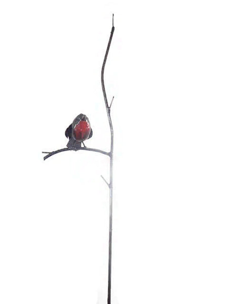 roodborstje op tak, robin on branch